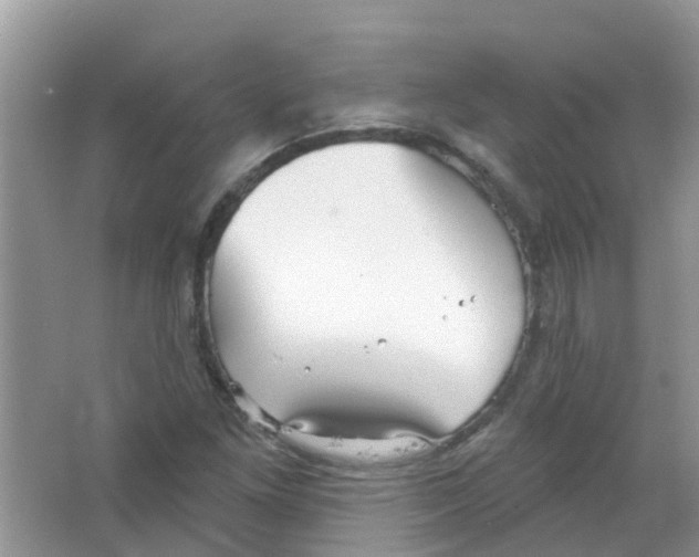 X0000063531261200602172233