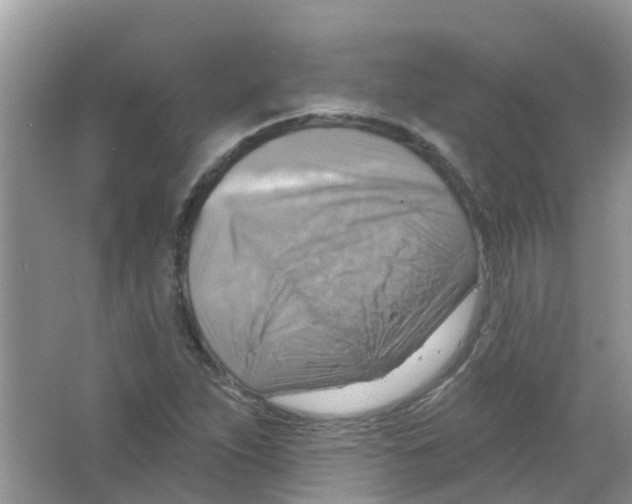 X0000063531263200602172233