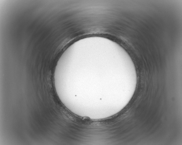 X0000063531265200602172233