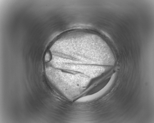 X0000063531267200602172233