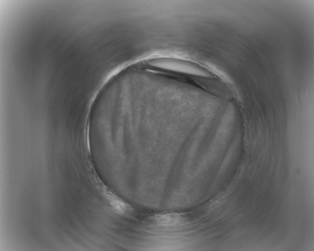 X0000063531272200602172233