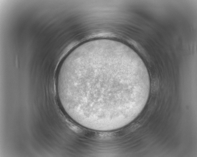 X0000063531274200602172233