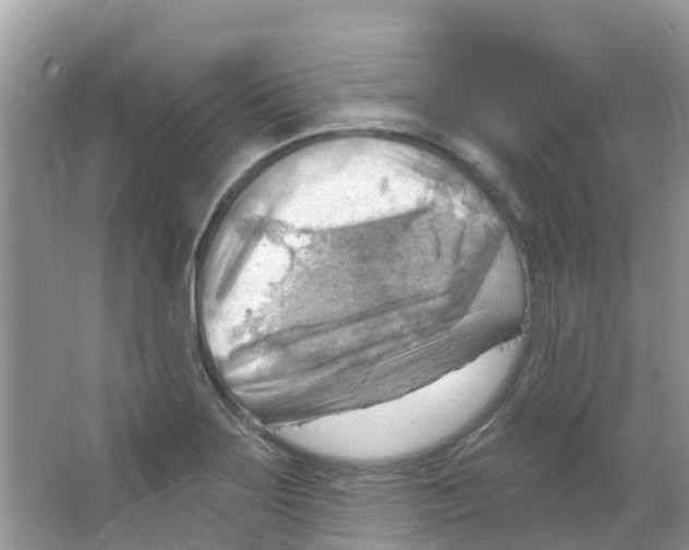 X0000063531275200602172233