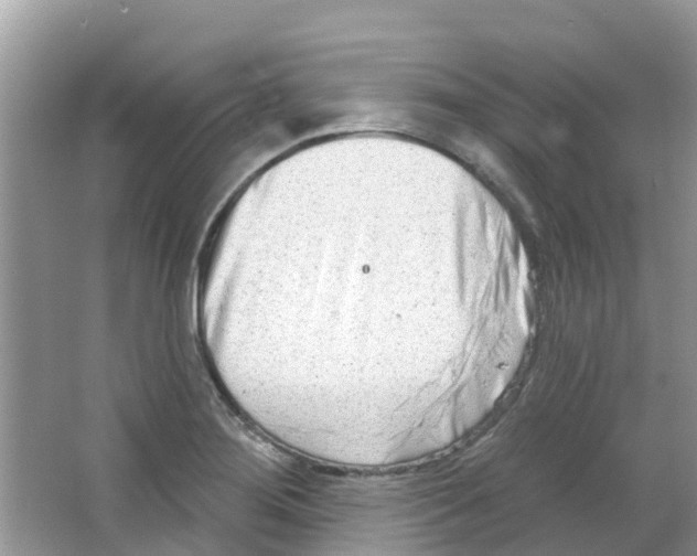 X0000063531276200602172233