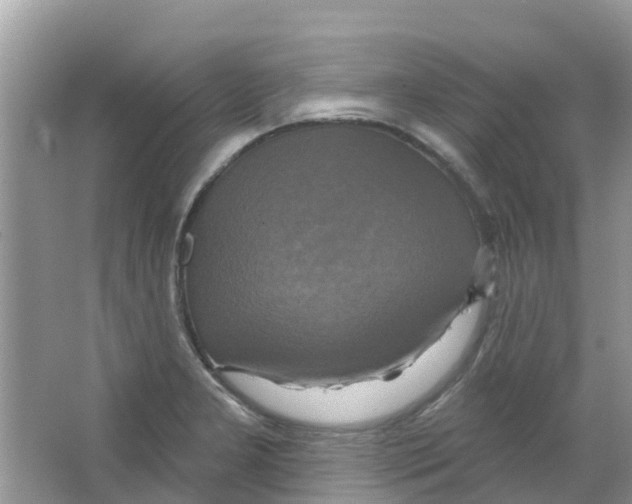 X0000063531277200602172233