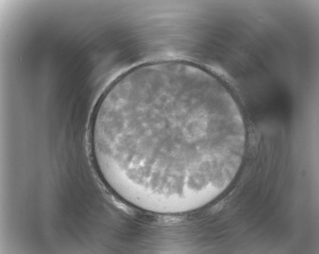 X0000063531278200602172233