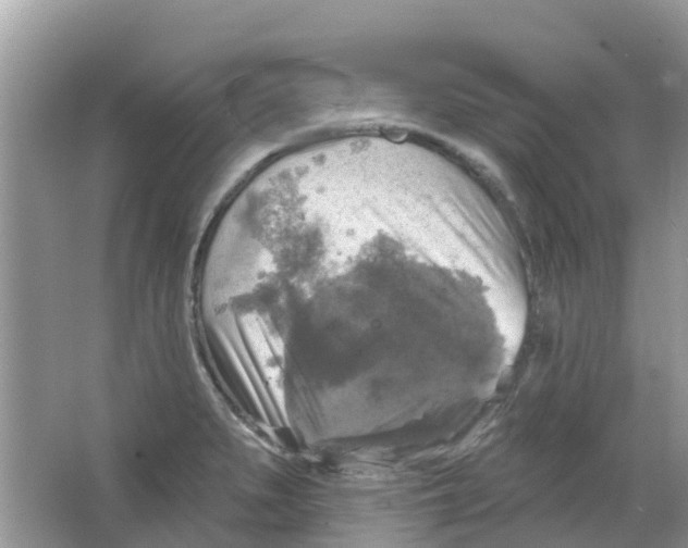 X0000063531279200602172232