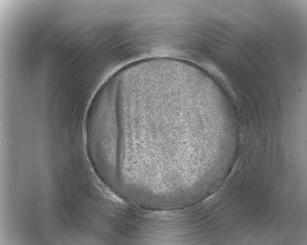 X0000063531280200602172232