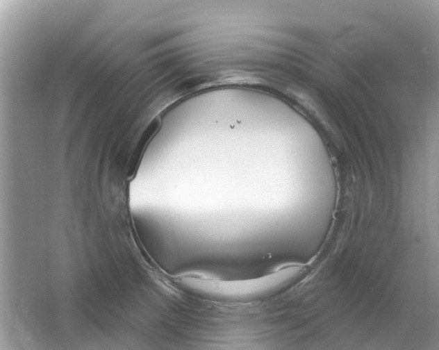 X0000063531281200602172232