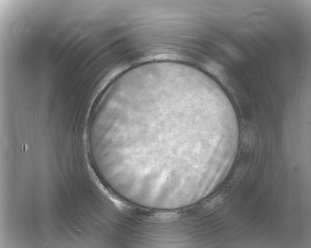 X0000063531282200602172232