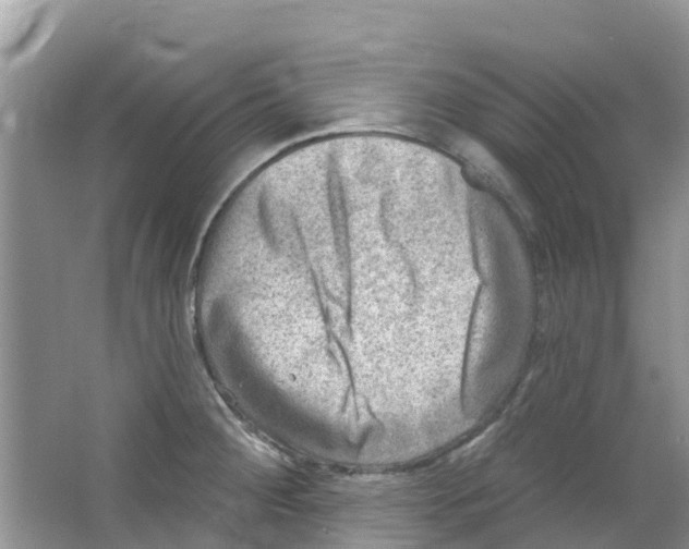 X0000063531284200602172232