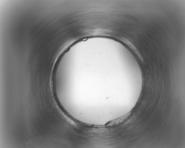 X0000063531285200602172232