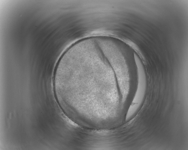 X0000063531288200602172232