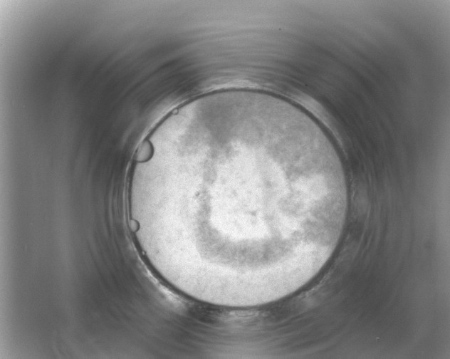 X0000063531290200602172232