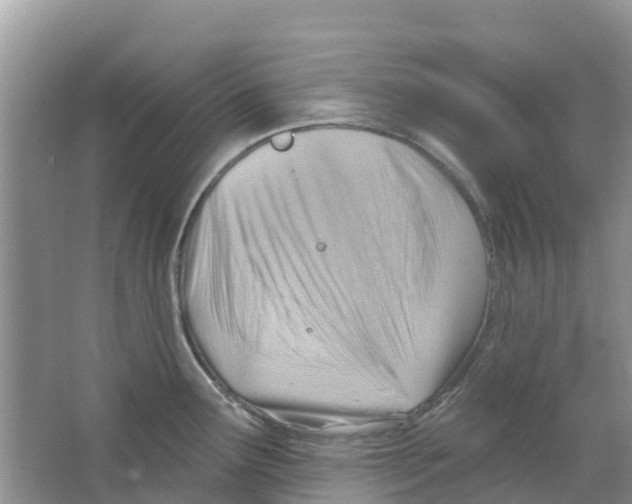 X0000063531291200602172232