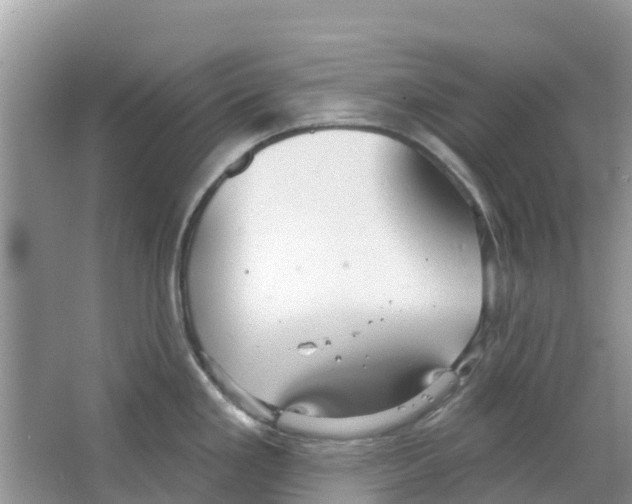 X0000063531293200602172232