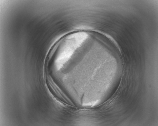 X0000063531295200602172232