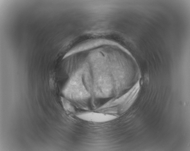 X0000063531300200602172231