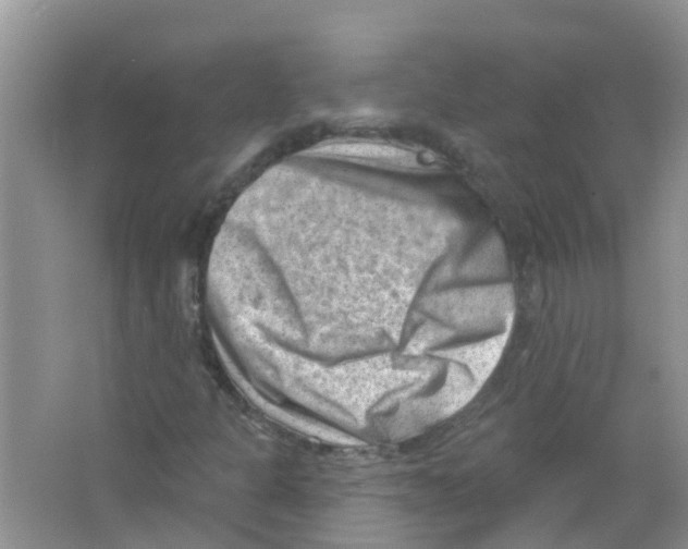 X0000063531301200602172231