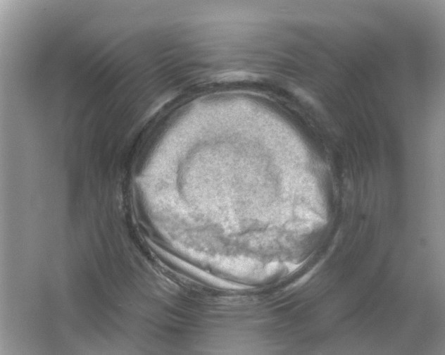 X0000063531305200602172231