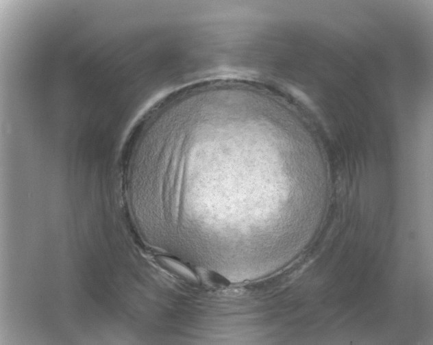 X0000063531310200602172232