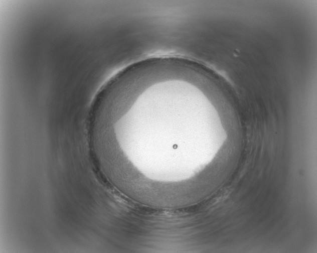 X0000063531311200602172232