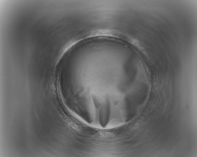 X0000063531312200602172232