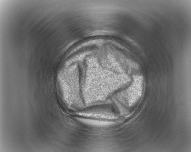 X0000063531313200602172232