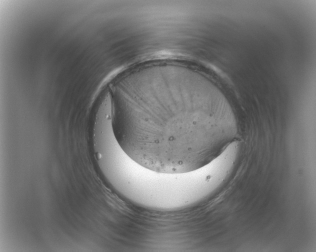 X0000063531314200602172232