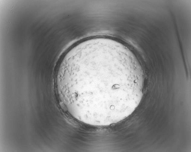 X0000063531316200602172232