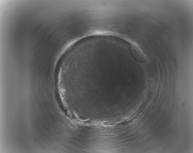 X0000063531319200602172232