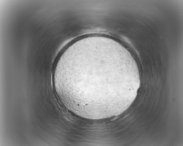 X0000063531320200602172232