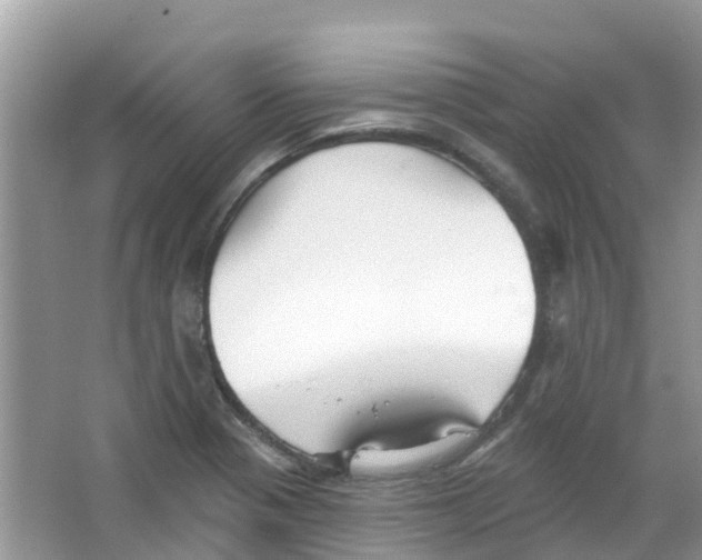 X0000063531321200602172232