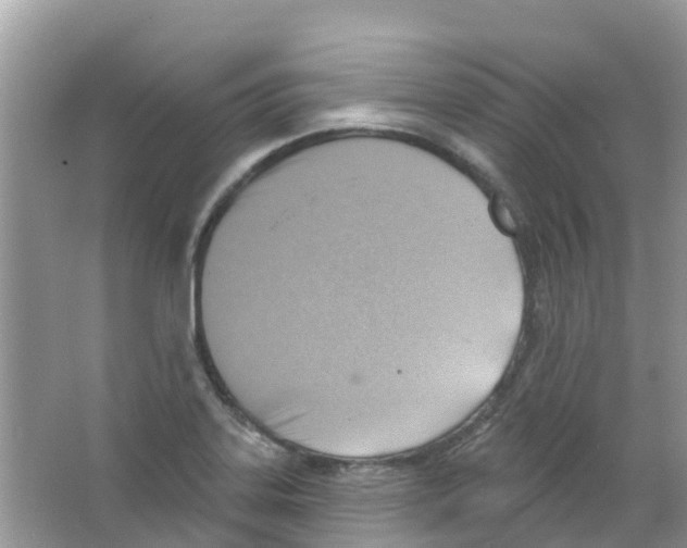 X0000063531323200602172232