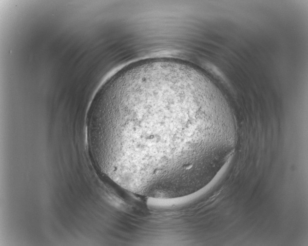 X0000063531324200602172232