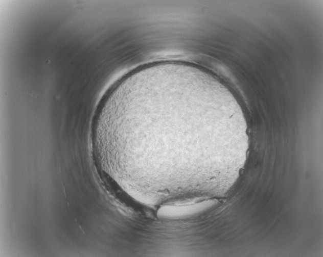 X0000063531328200602172232