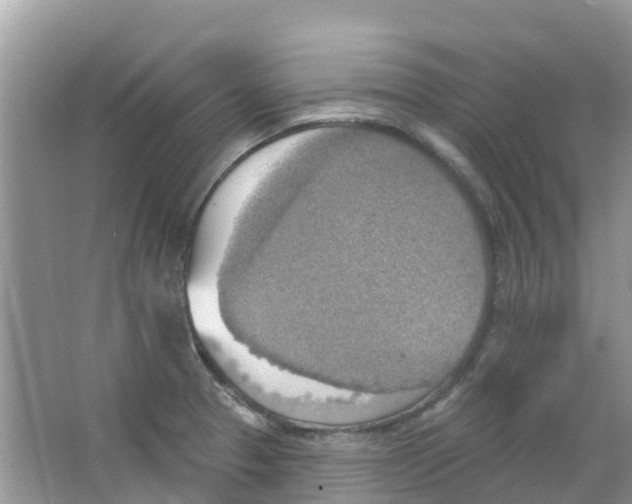 X0000063531329200602172232