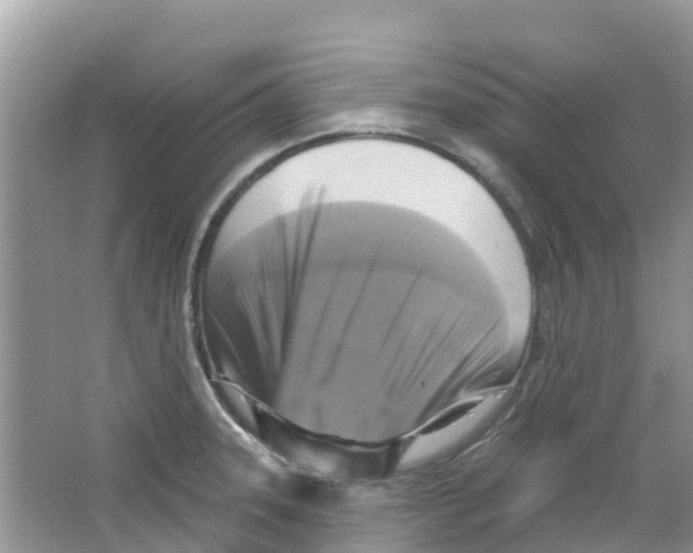 X0000063531331200602172232