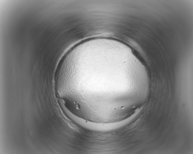 X0000063531332200602172232