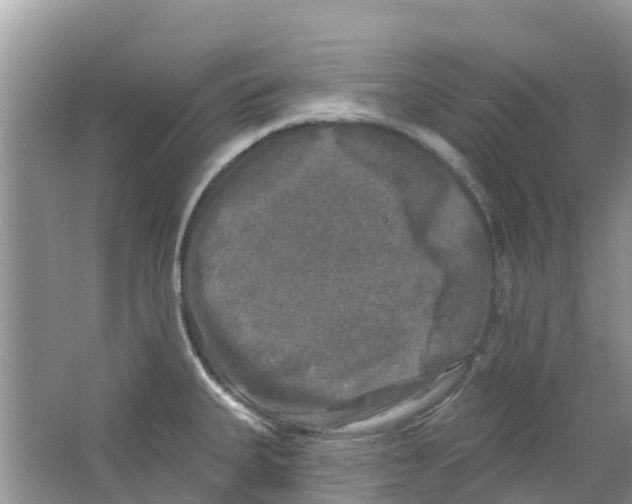 X0000063531335200602172232