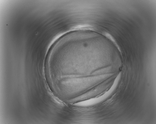 X0000063531336200602172232