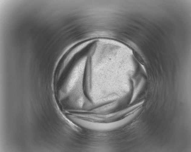 X0000063531339200602172232