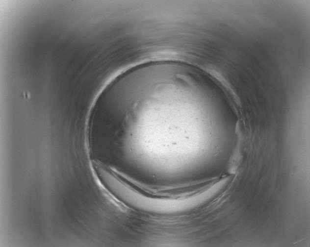 X0000063531342200602172232