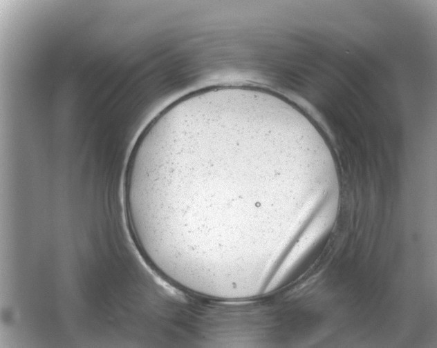 X0000063531343200602172232