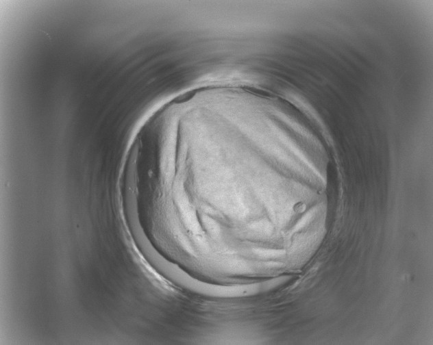 X0000063531344200602172232