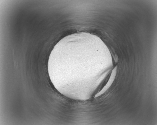 X0000063531345200602172231