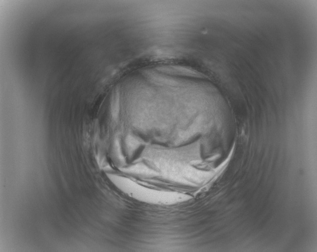 X0000063531348200602172231