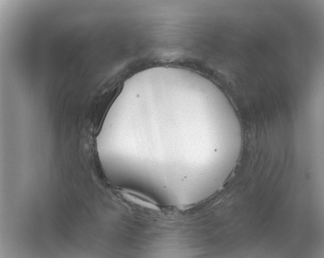 X0000063531349200602172231