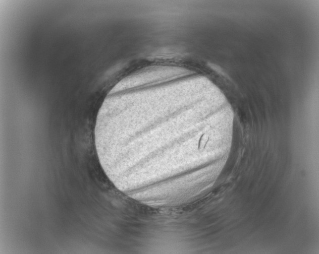 X0000063531350200602172231