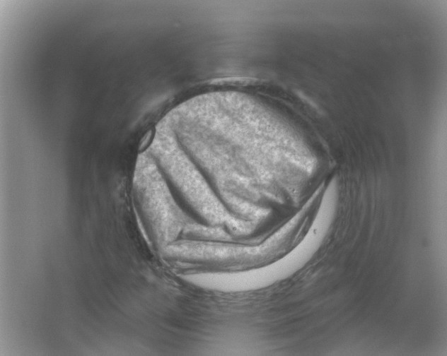 X0000063531351200602172231